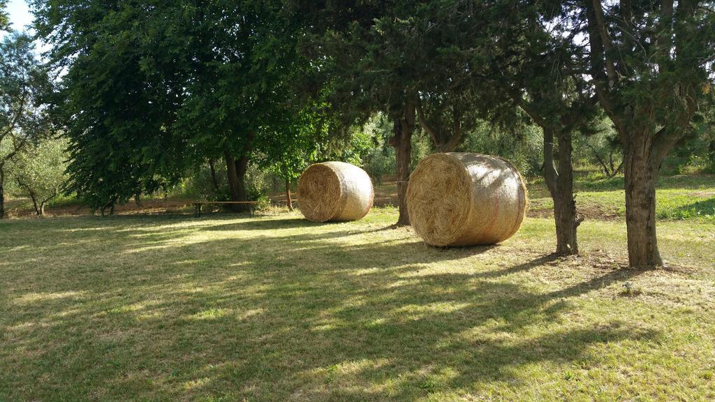 Agriturismo La Dolce Collina Villa Follonica Exterior foto