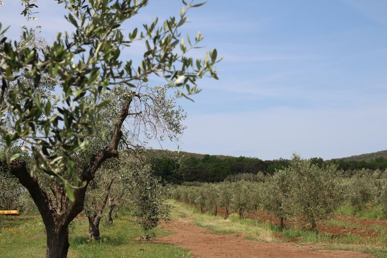Agriturismo La Dolce Collina Villa Follonica Exterior foto